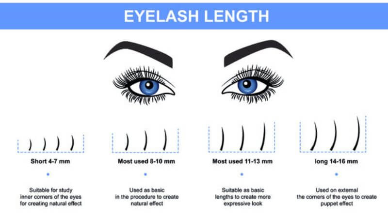 27+ Wispy Eyelash Extension Style Chart