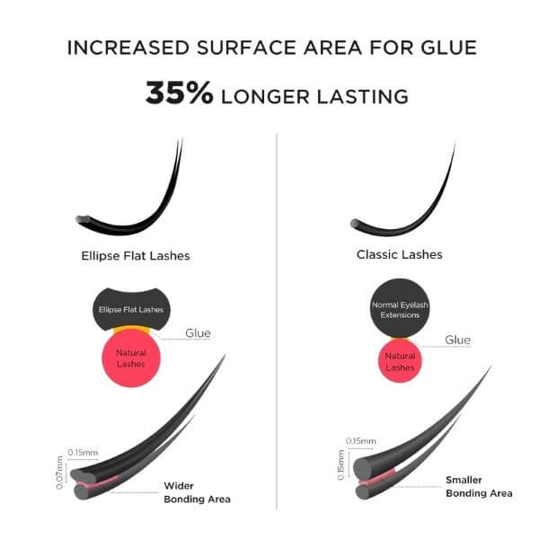 Private Label Ellipse Flat Lashes Extensions Wholesale Supplier