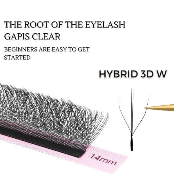 Hybrid 3D W Lashes Extensions Supplier