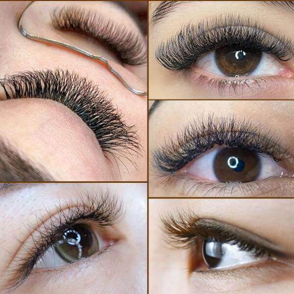Hybrid 3D W Lashes Extensions Supplier