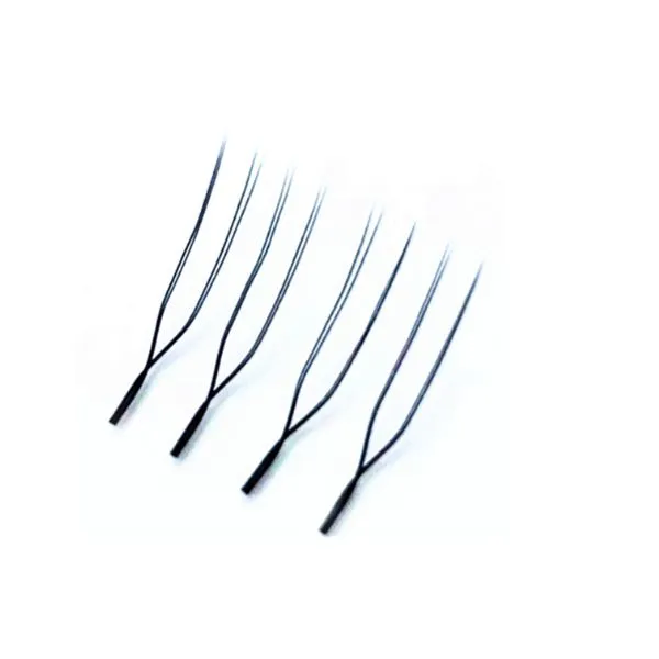 u lashes